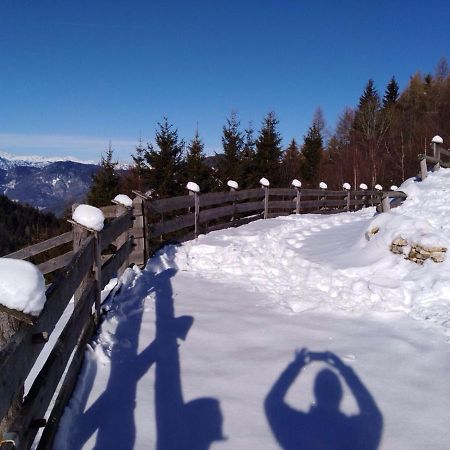 Vila Baita Del Nonno Dei Pitoi Bedollo Exteriér fotografie