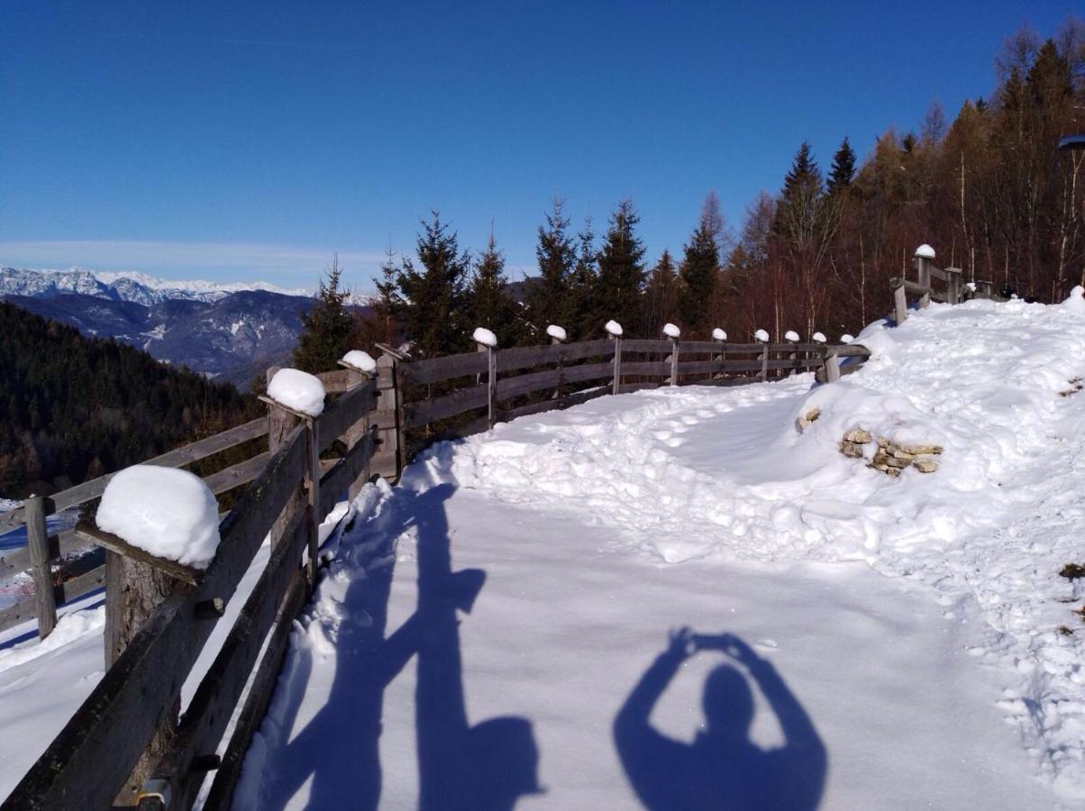 Vila Baita Del Nonno Dei Pitoi Bedollo Exteriér fotografie