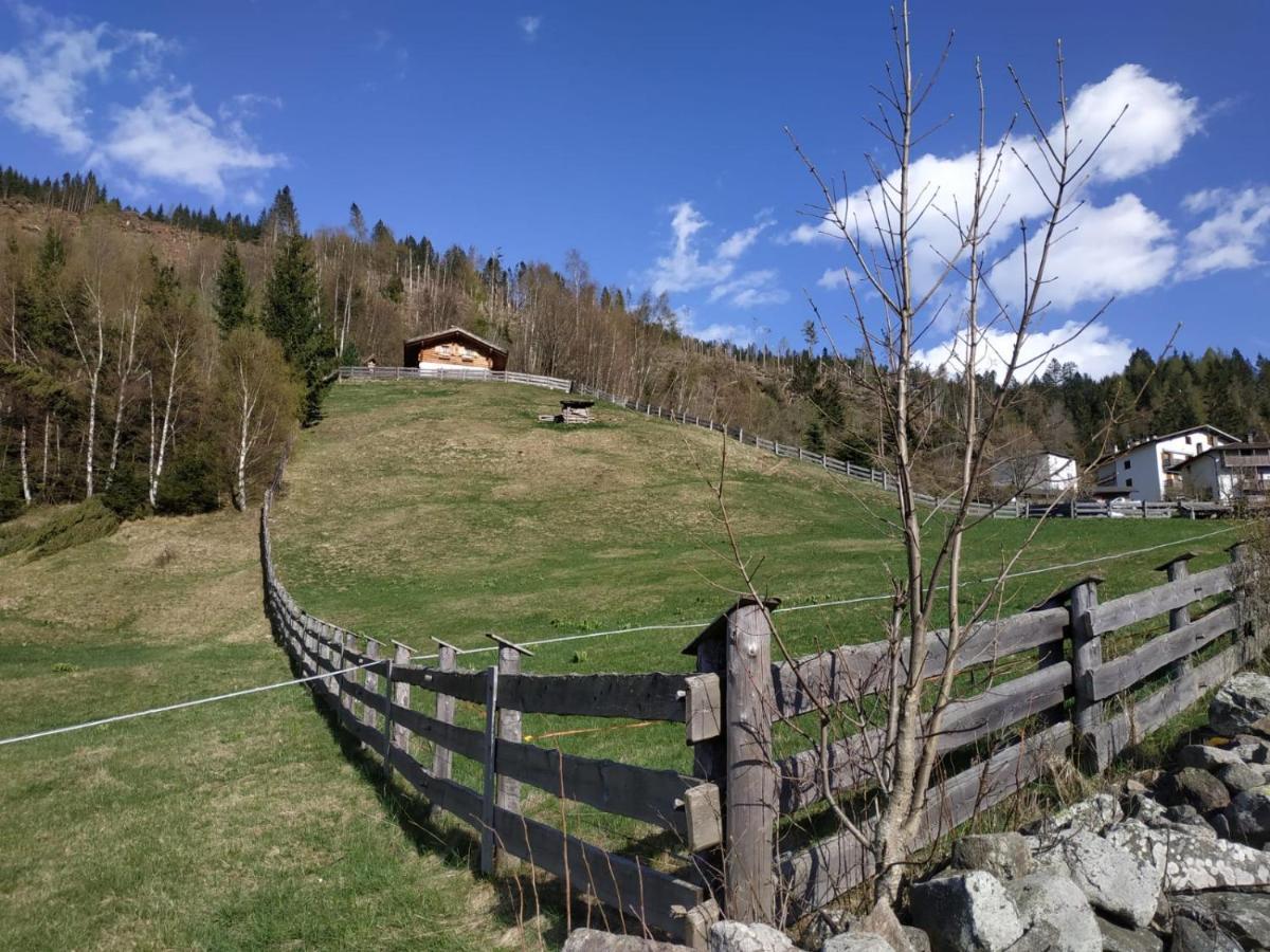 Vila Baita Del Nonno Dei Pitoi Bedollo Exteriér fotografie