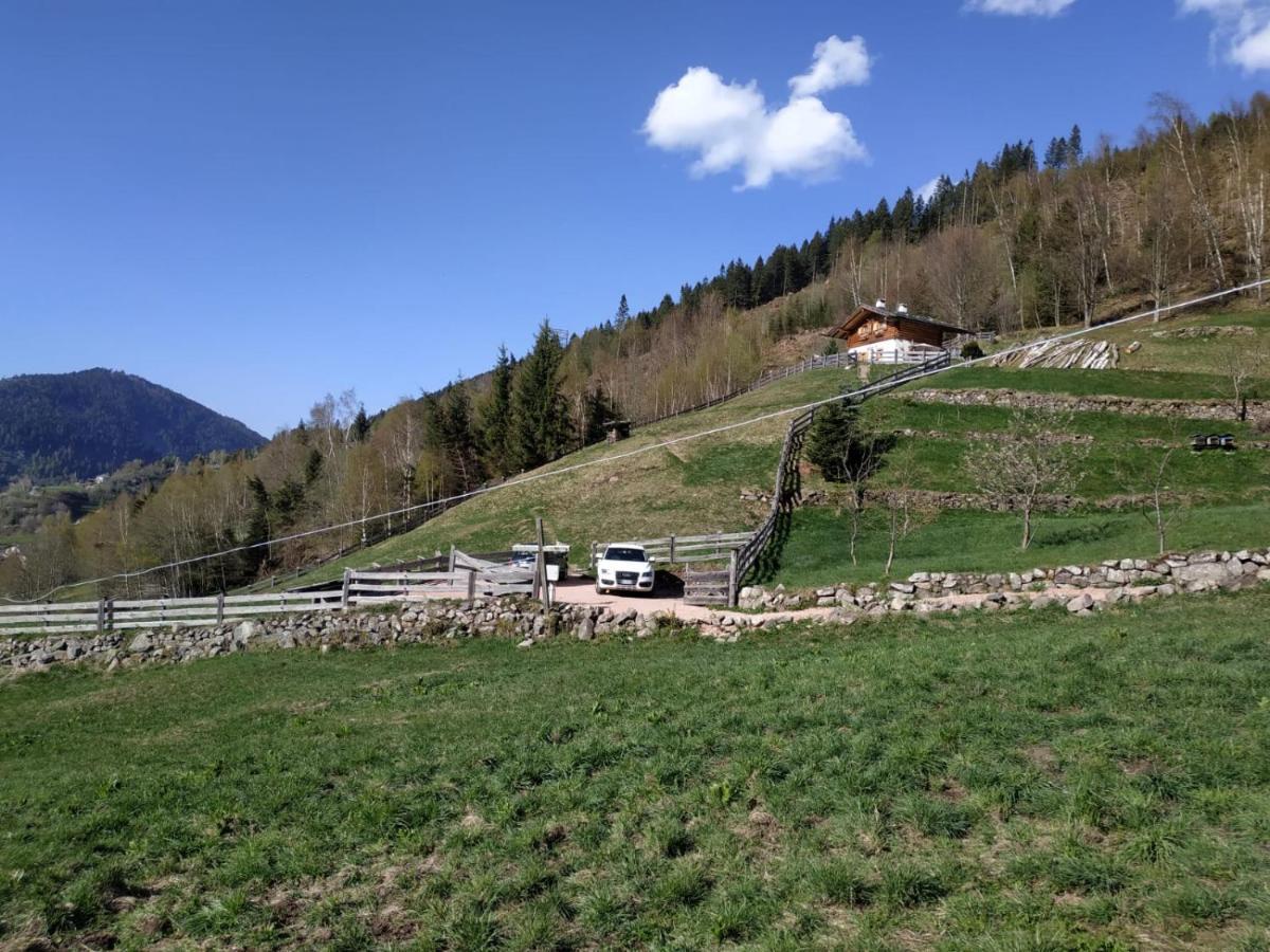 Vila Baita Del Nonno Dei Pitoi Bedollo Exteriér fotografie